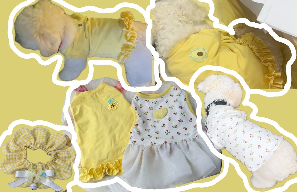 Sản phẩm đồ thú cưng của học viên Luvinus 1