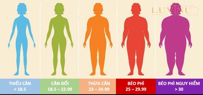 Cơ thể của bạn cao bao nhiêu?